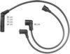 BERU ZEF882 Ignition Cable Kit